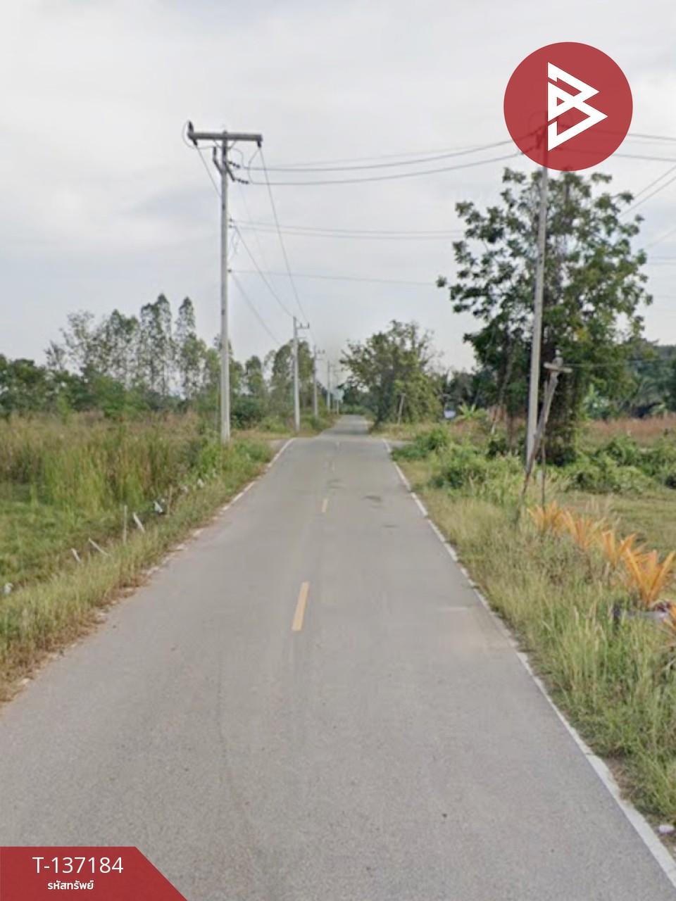 ขายด่วนที่ดิน เนื้อที่ 2 ไร่ ปากท่อ ราชบุรี 5