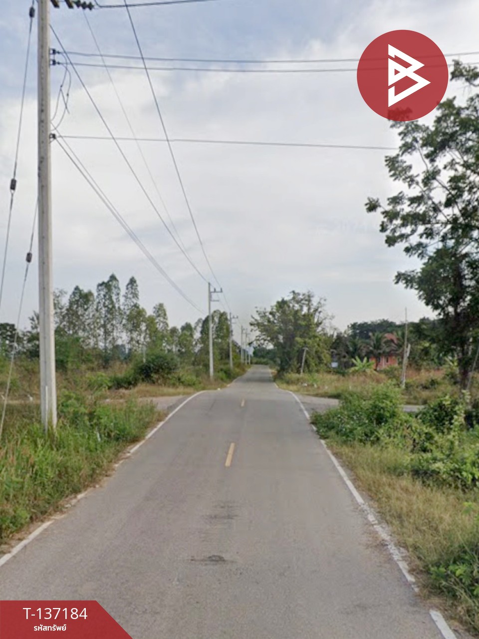 ขายด่วนที่ดิน เนื้อที่ 2 ไร่ ปากท่อ ราชบุรี 6