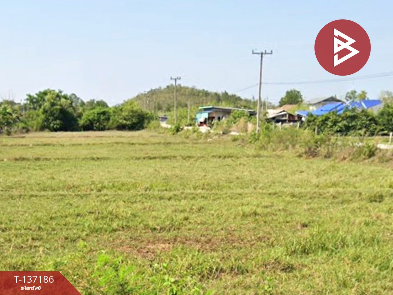 ขายที่ดิน เนื้อที่ 1 งาน หินกอง ราชบุรี 2