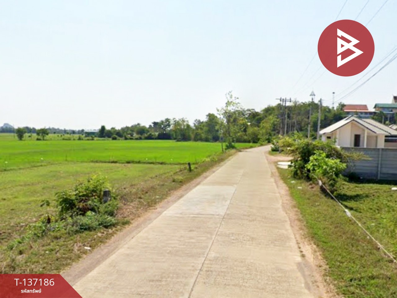 ขายที่ดิน เนื้อที่ 1 งาน หินกอง ราชบุรี 3