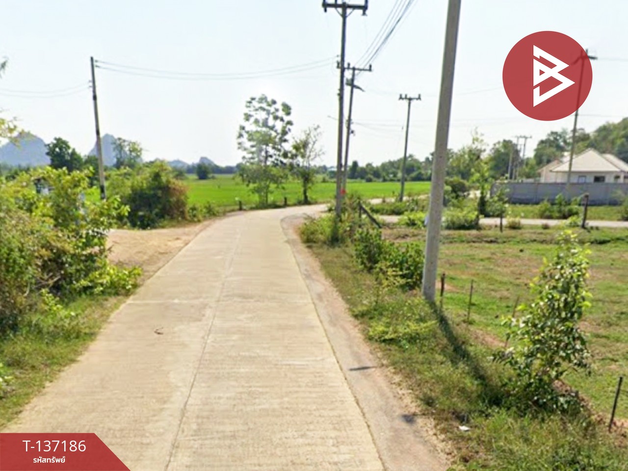 ขายที่ดิน เนื้อที่ 1 งาน หินกอง ราชบุรี 4