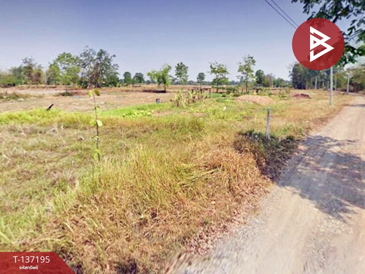 ขายที่ดิน เนื้อที่ 3 ไร่ 1 งาน 32 ตร.วา ชุมแพ ขอนแก่น 4