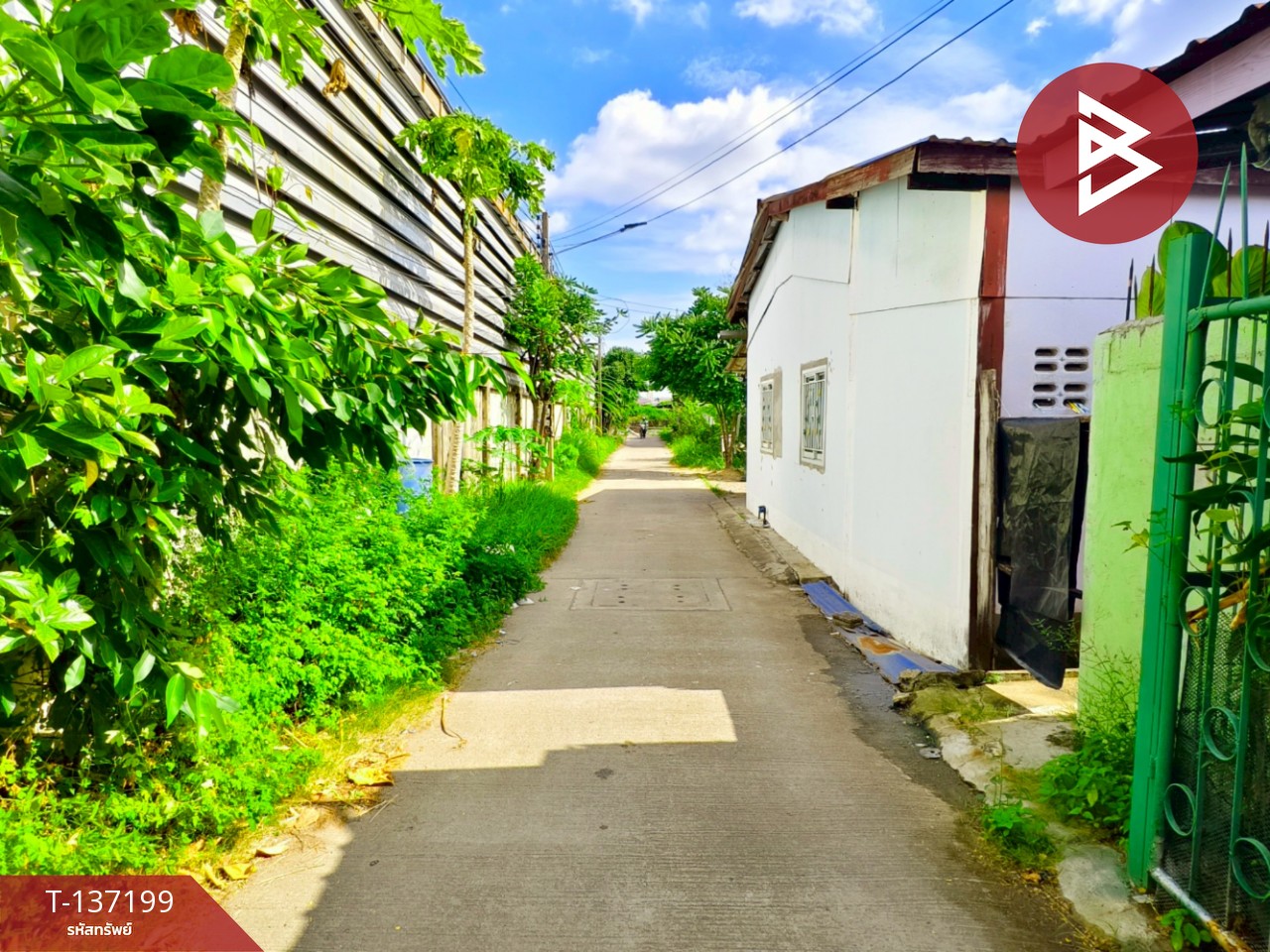 ขายบ้านเดี่ยวชั้นเดียว เนื้อที่ 50 ตารางวา กระทุ่มแบน สมุทรสาคร 3