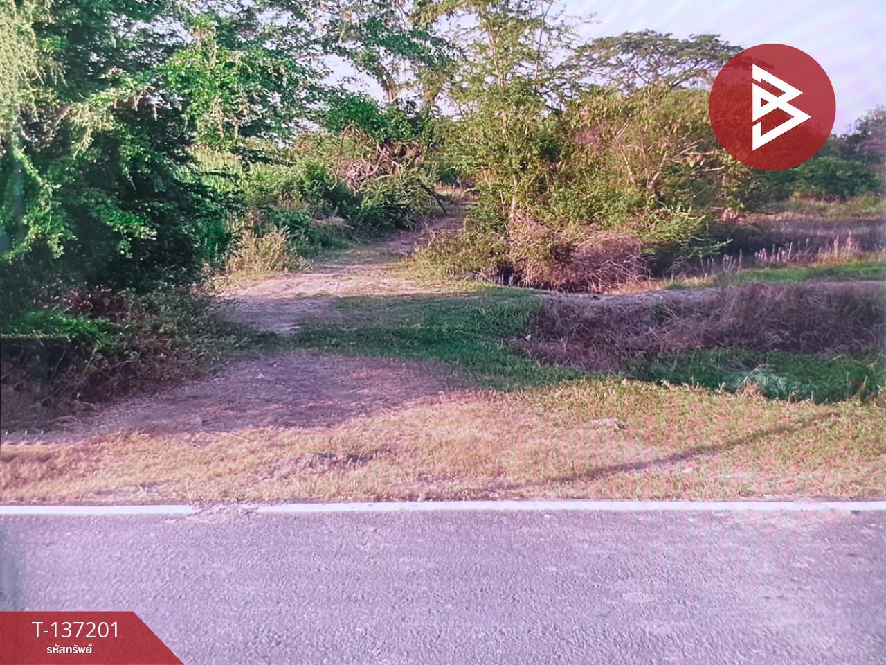 ขายที่ดิน เนื้อที่ 1 ไร่ ลาดบัวหลวง พระนครศรีอยุธยา 4