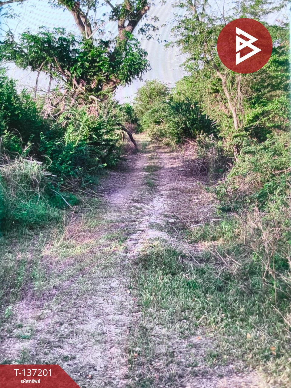 ขายที่ดิน เนื้อที่ 1 ไร่ ลาดบัวหลวง พระนครศรีอยุธยา 5