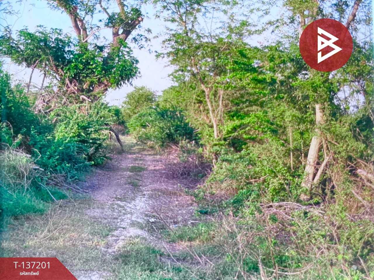 ขายที่ดิน เนื้อที่ 1 ไร่ ลาดบัวหลวง พระนครศรีอยุธยา 6