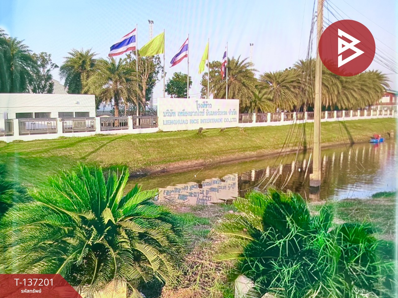 ขายที่ดิน เนื้อที่ 1 ไร่ ลาดบัวหลวง พระนครศรีอยุธยา 8