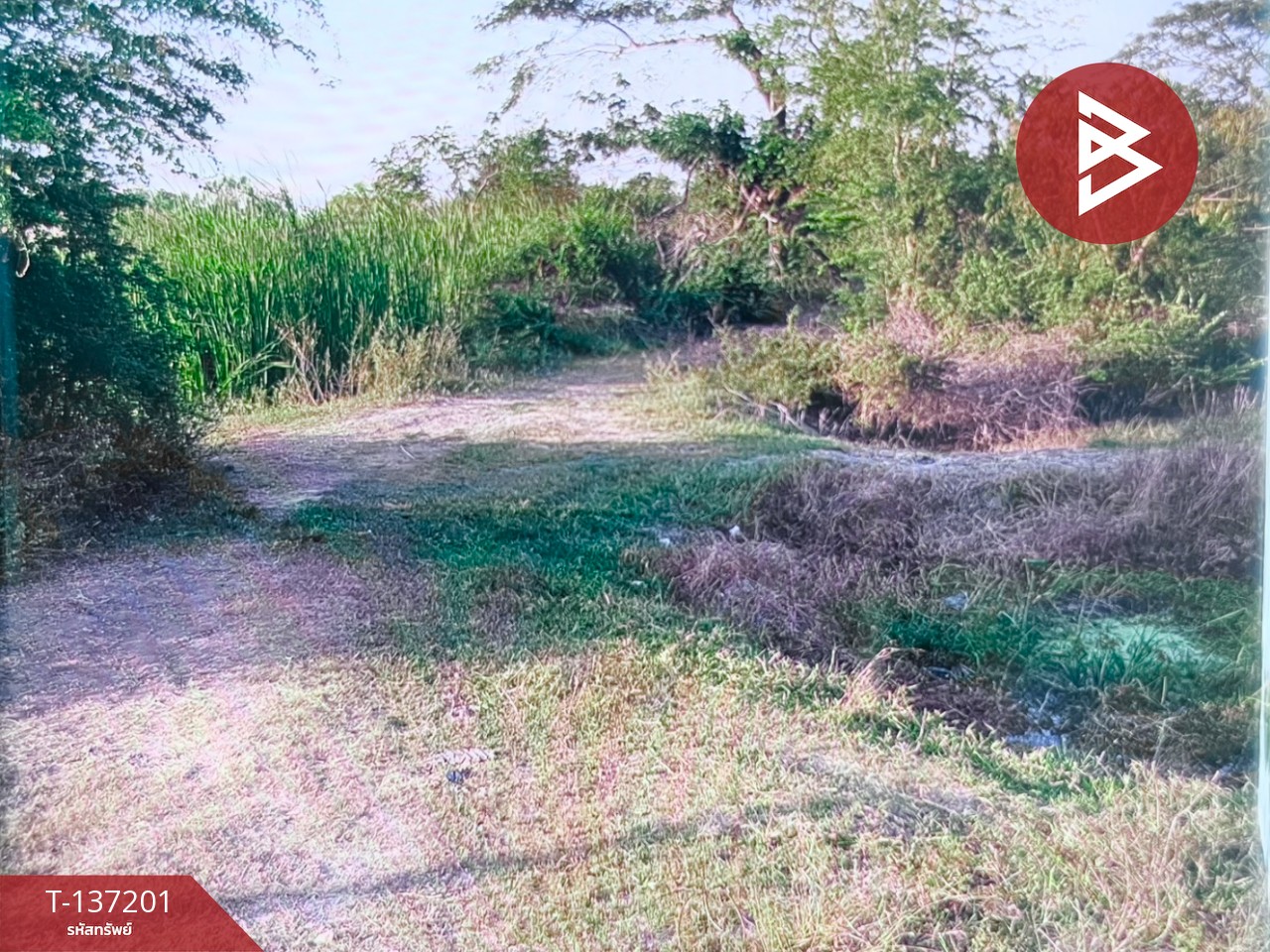 ขายที่ดิน เนื้อที่ 1 ไร่ ลาดบัวหลวง พระนครศรีอยุธยา 1