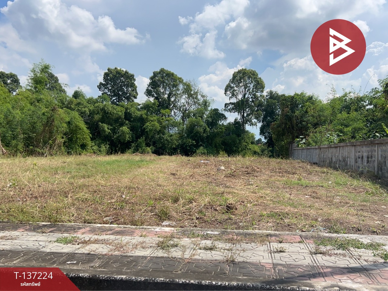 ขายที่ดิน เนื้อที่ 1 งาน ติดริมน้ำ กำแพงแสน นครปฐม 1