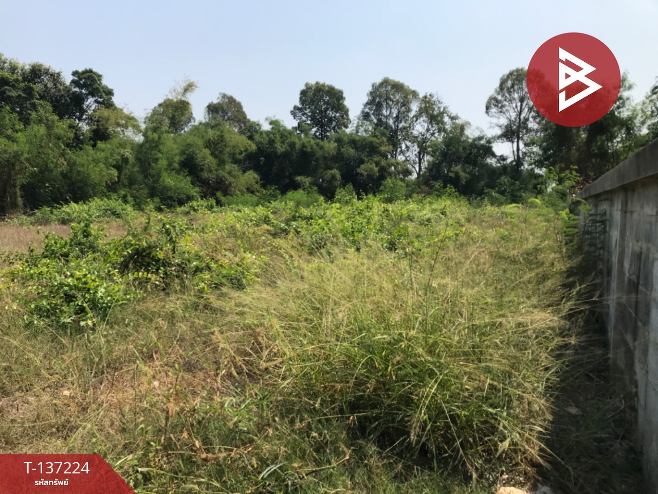 ขายที่ดิน เนื้อที่ 1 งาน ติดริมน้ำ กำแพงแสน นครปฐม 2