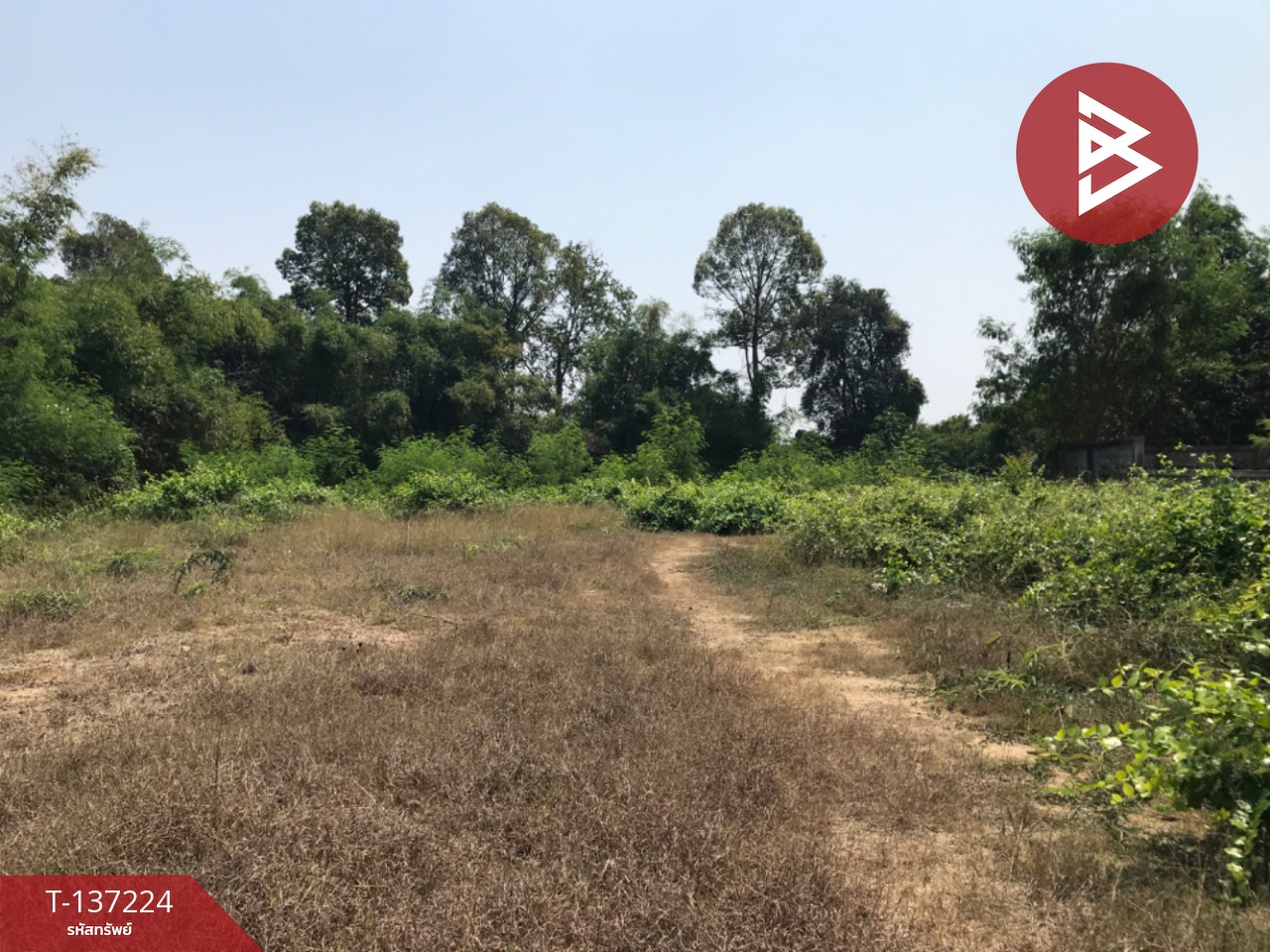 ขายที่ดิน เนื้อที่ 1 งาน ติดริมน้ำ กำแพงแสน นครปฐม 3