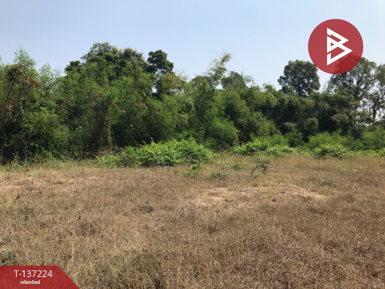 ขายที่ดิน เนื้อที่ 1 งาน ติดริมน้ำ กำแพงแสน นครปฐม 4