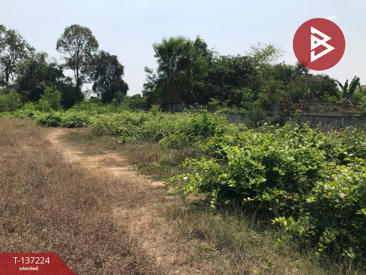 ขายที่ดิน เนื้อที่ 1 งาน ติดริมน้ำ กำแพงแสน นครปฐม 5