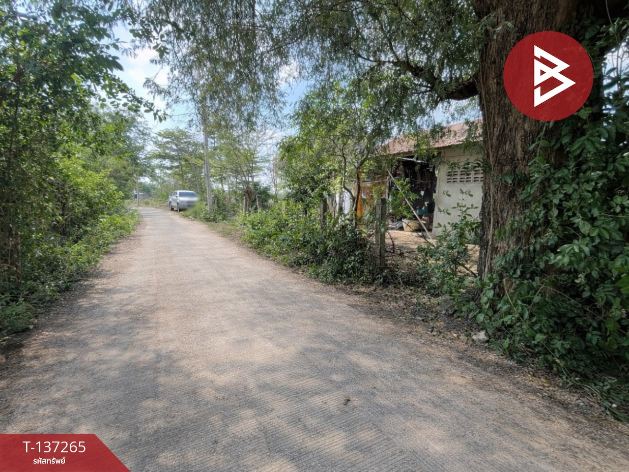 ขายที่ดิน เนื้อที่ 1 ไร่ บ้านไผ่ ขอนแก่น 8