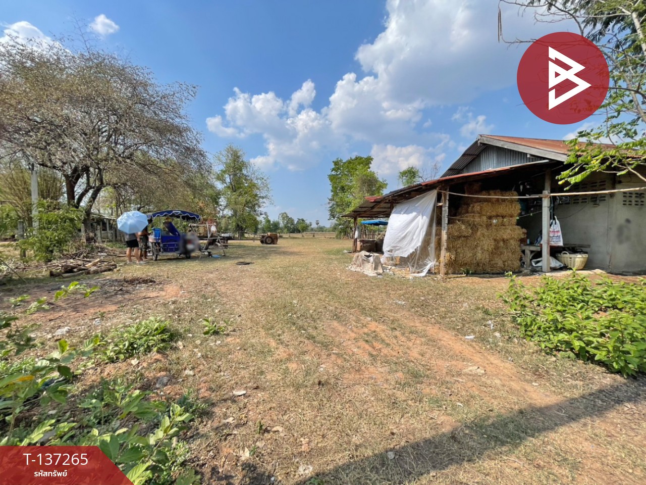 ขายที่ดิน เนื้อที่ 1 ไร่ บ้านไผ่ ขอนแก่น 7