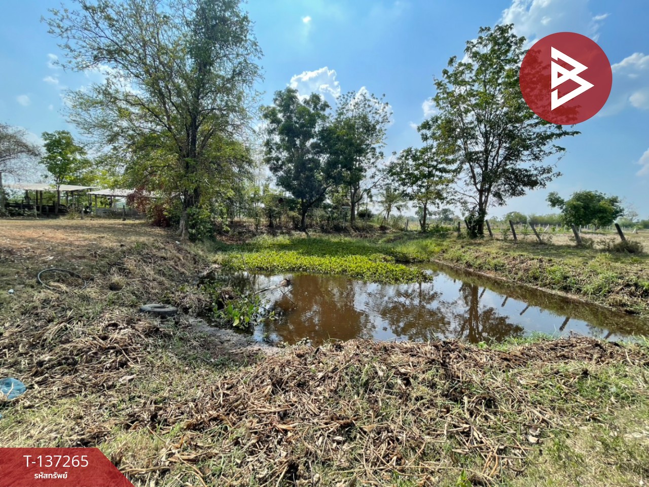 ขายที่ดิน เนื้อที่ 1 ไร่ บ้านไผ่ ขอนแก่น 10