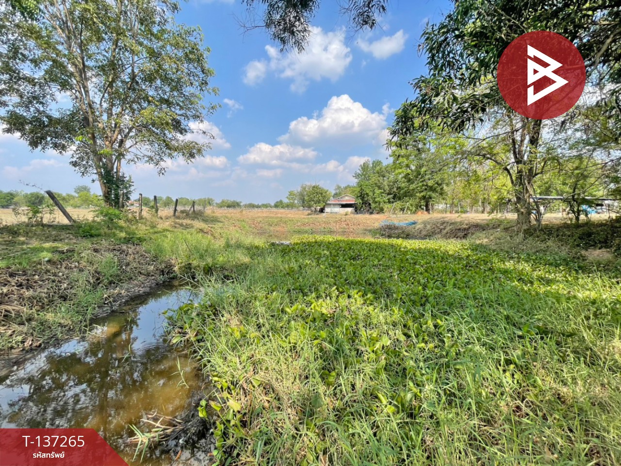 ขายที่ดิน เนื้อที่ 1 ไร่ บ้านไผ่ ขอนแก่น 11