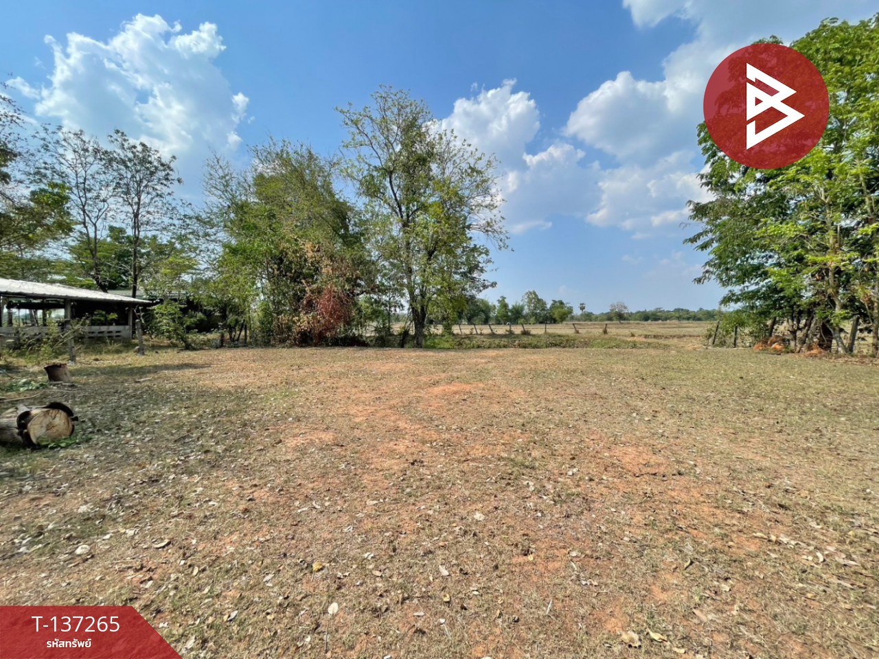 ขายที่ดิน เนื้อที่ 1 ไร่ บ้านไผ่ ขอนแก่น 1