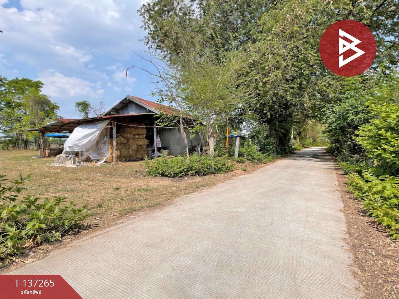 ขายที่ดิน เนื้อที่ 1 ไร่ บ้านไผ่ ขอนแก่น 5