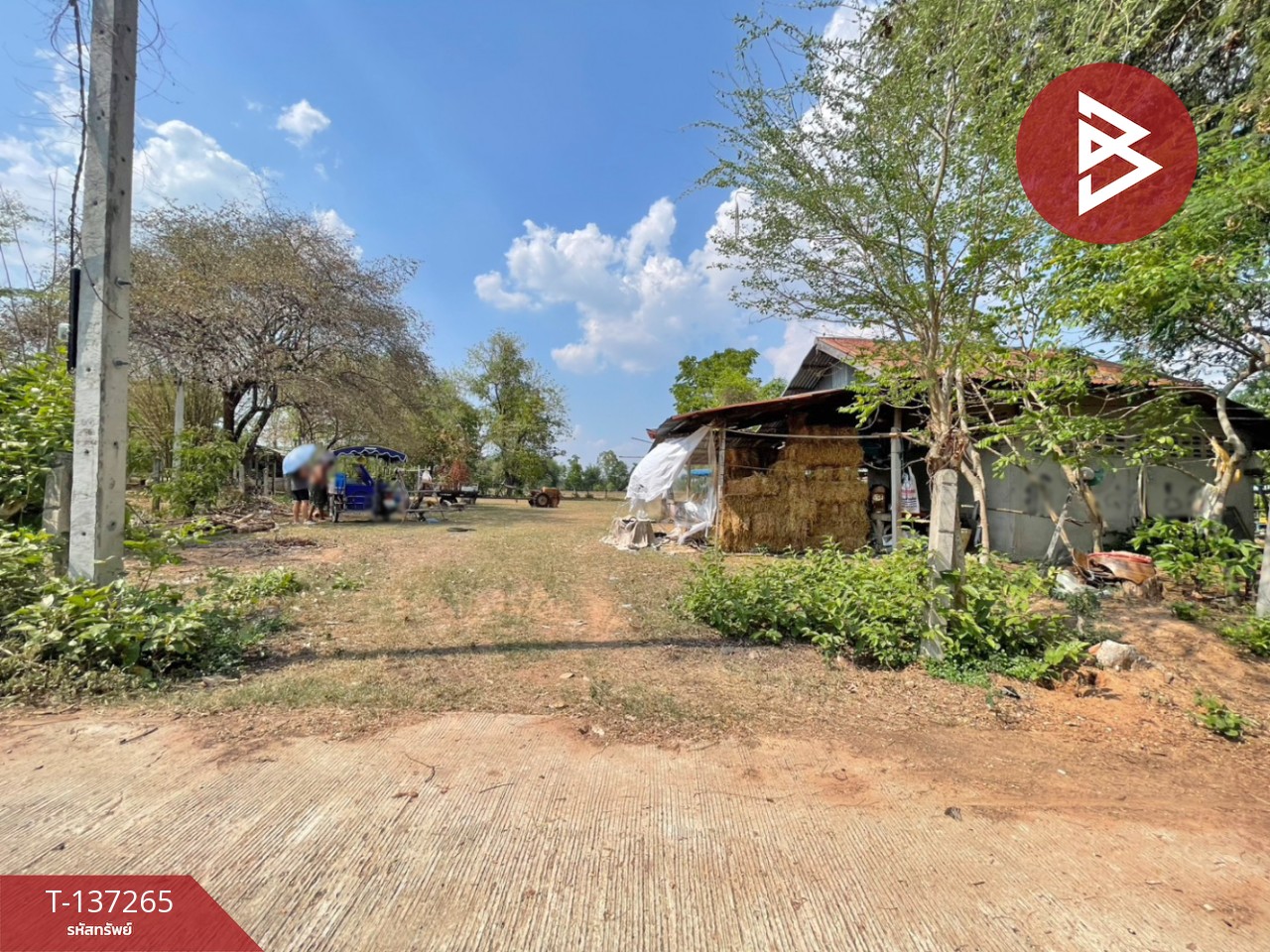 ขายที่ดิน เนื้อที่ 1 ไร่ บ้านไผ่ ขอนแก่น 6