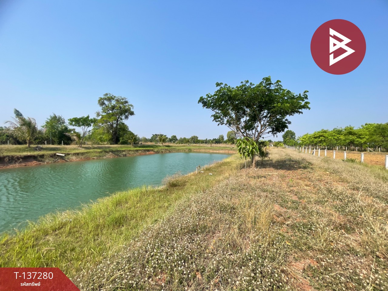 ขายที่ดินพร้อมสิ่งปลูกสร้าง เนื้อที่ 5 ไร่ โนนศิลา ขอนแก่น 11