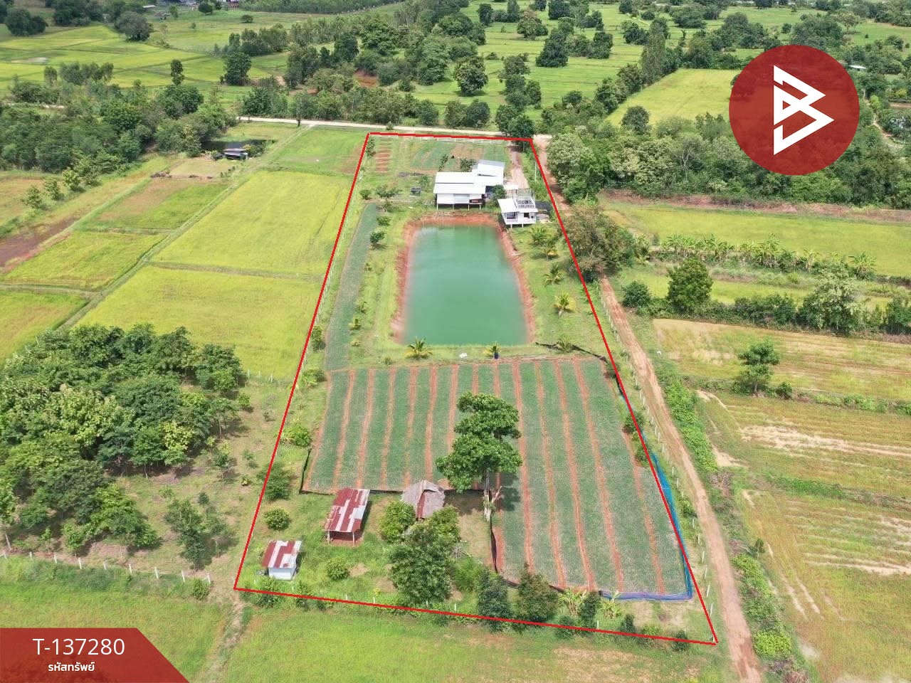 ขายที่ดินพร้อมสิ่งปลูกสร้าง เนื้อที่ 5 ไร่ โนนศิลา ขอนแก่น 2