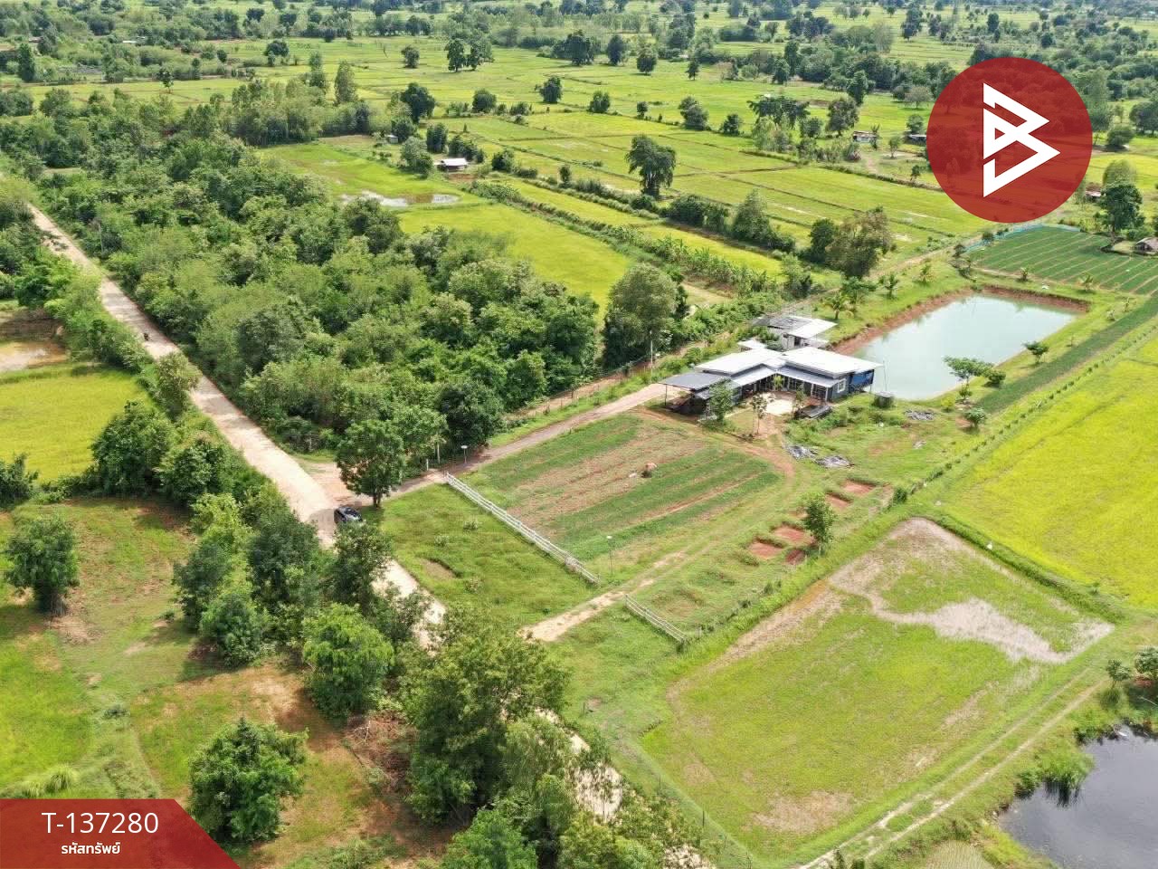 ขายที่ดินพร้อมสิ่งปลูกสร้าง เนื้อที่ 5 ไร่ โนนศิลา ขอนแก่น 3