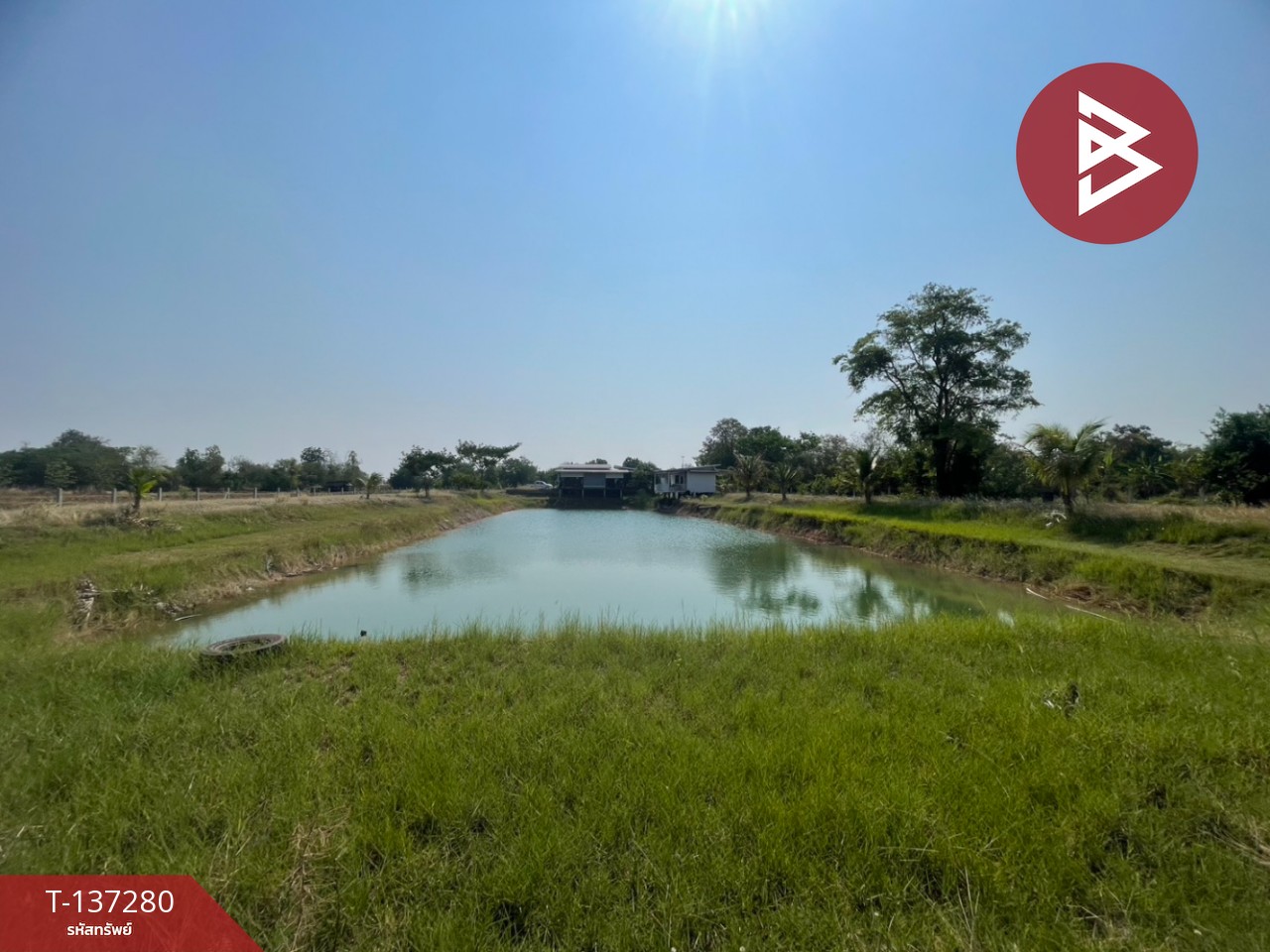 ขายที่ดินพร้อมสิ่งปลูกสร้าง เนื้อที่ 5 ไร่ โนนศิลา ขอนแก่น 9