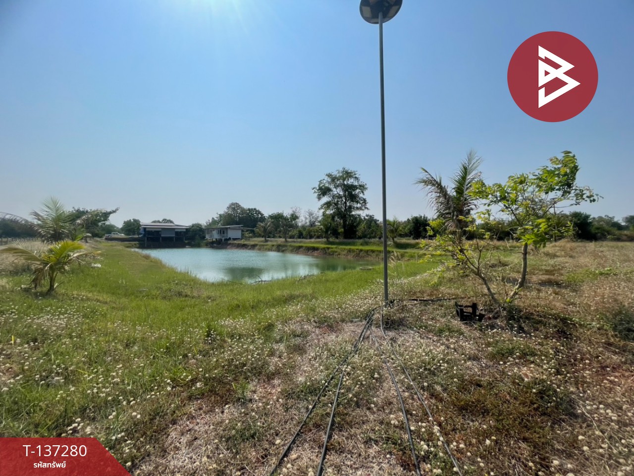 ขายที่ดินพร้อมสิ่งปลูกสร้าง เนื้อที่ 5 ไร่ โนนศิลา ขอนแก่น 10