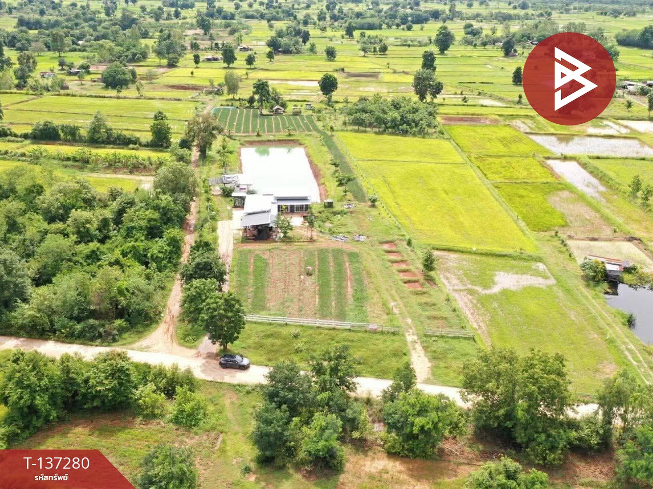 ขายที่ดินพร้อมสิ่งปลูกสร้าง เนื้อที่ 5 ไร่ โนนศิลา ขอนแก่น 1