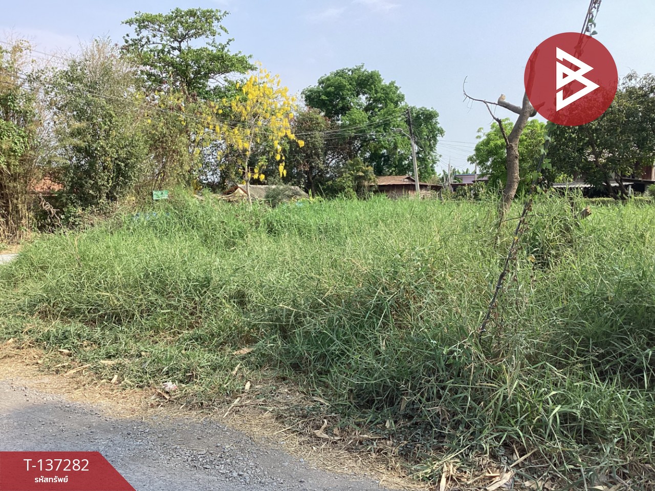 ขายที่ดิน เนื้อที่ 2 งาน หนองแค สระบุรี 10