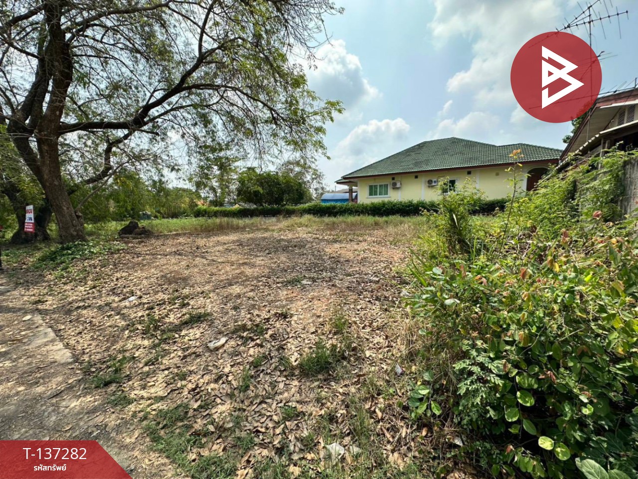 ขายที่ดิน เนื้อที่ 2 งาน หนองแค สระบุรี 1