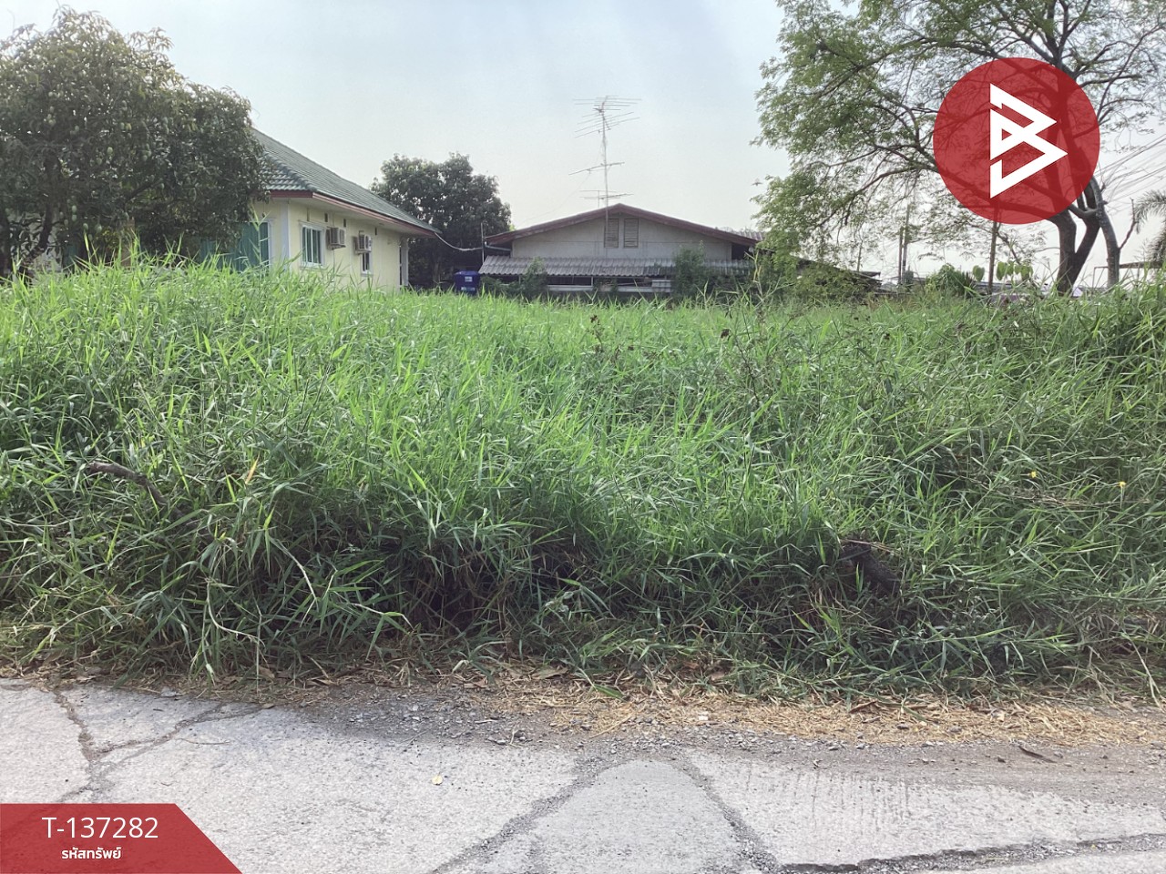 ขายที่ดิน เนื้อที่ 2 งาน หนองแค สระบุรี 9