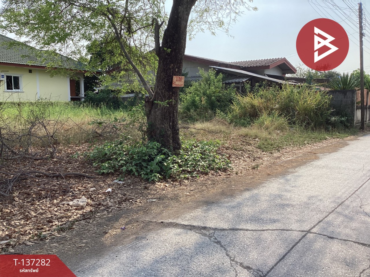 ขายที่ดิน เนื้อที่ 2 งาน หนองแค สระบุรี 7