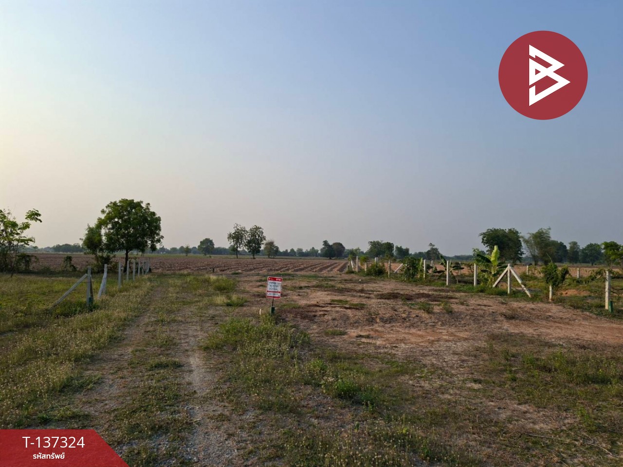 ขายที่ดิน เนื้อที่ 86 ตร.วา ดอนเจดีย์ สุพรรณบุรี 2