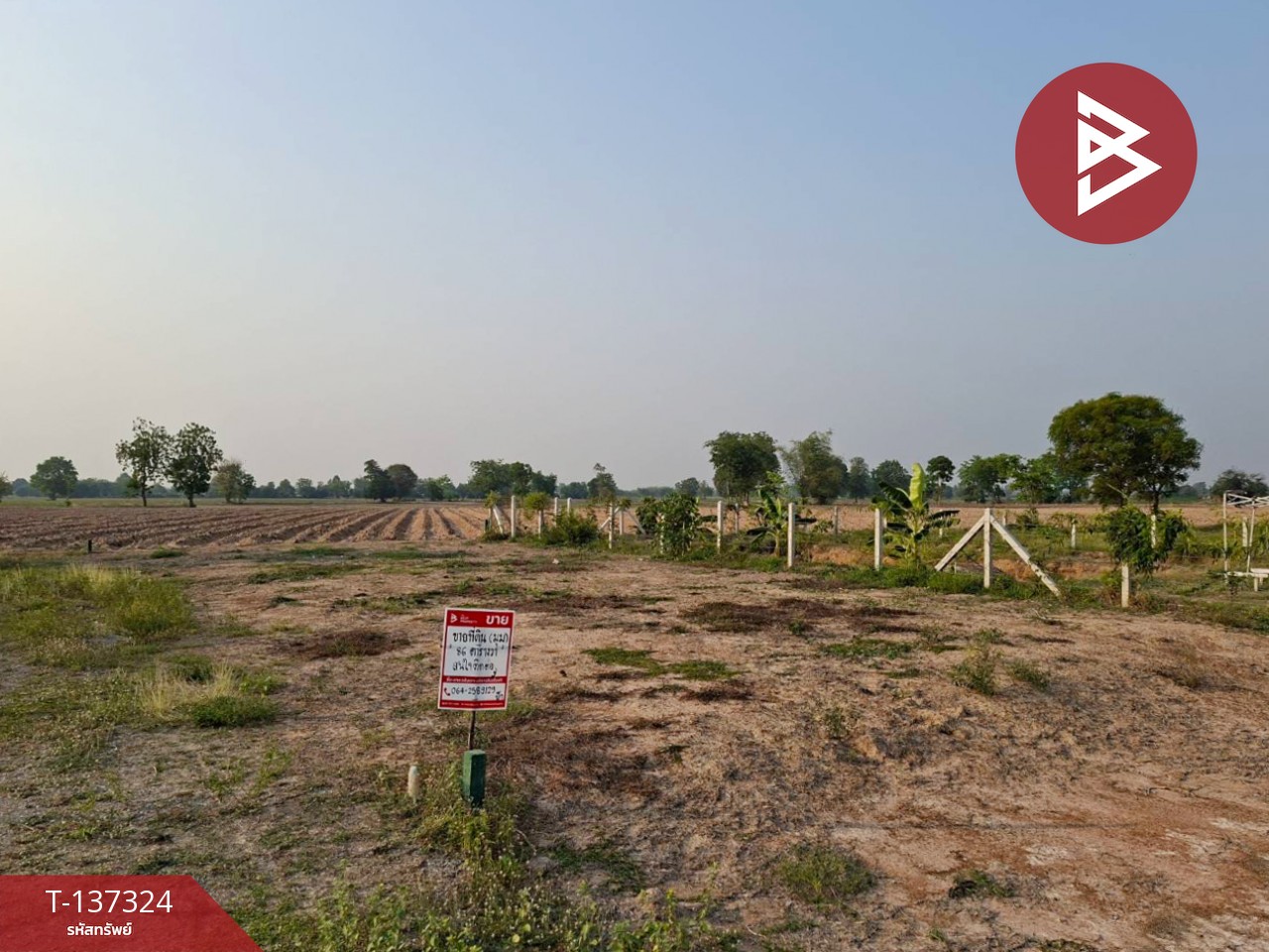 ขายที่ดิน เนื้อที่ 86 ตร.วา ดอนเจดีย์ สุพรรณบุรี 1