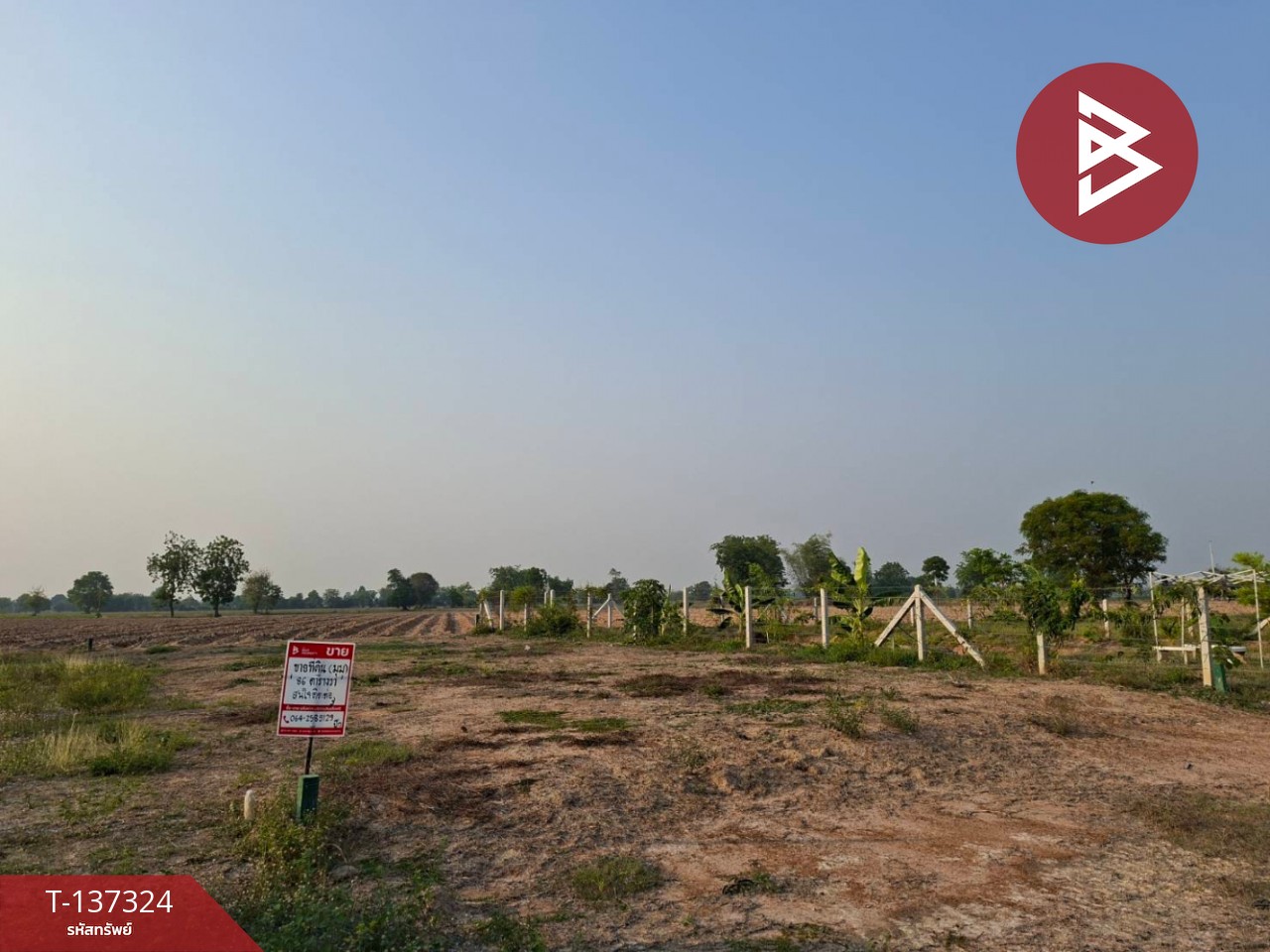 ขายที่ดิน เนื้อที่ 86 ตร.วา ดอนเจดีย์ สุพรรณบุรี 3