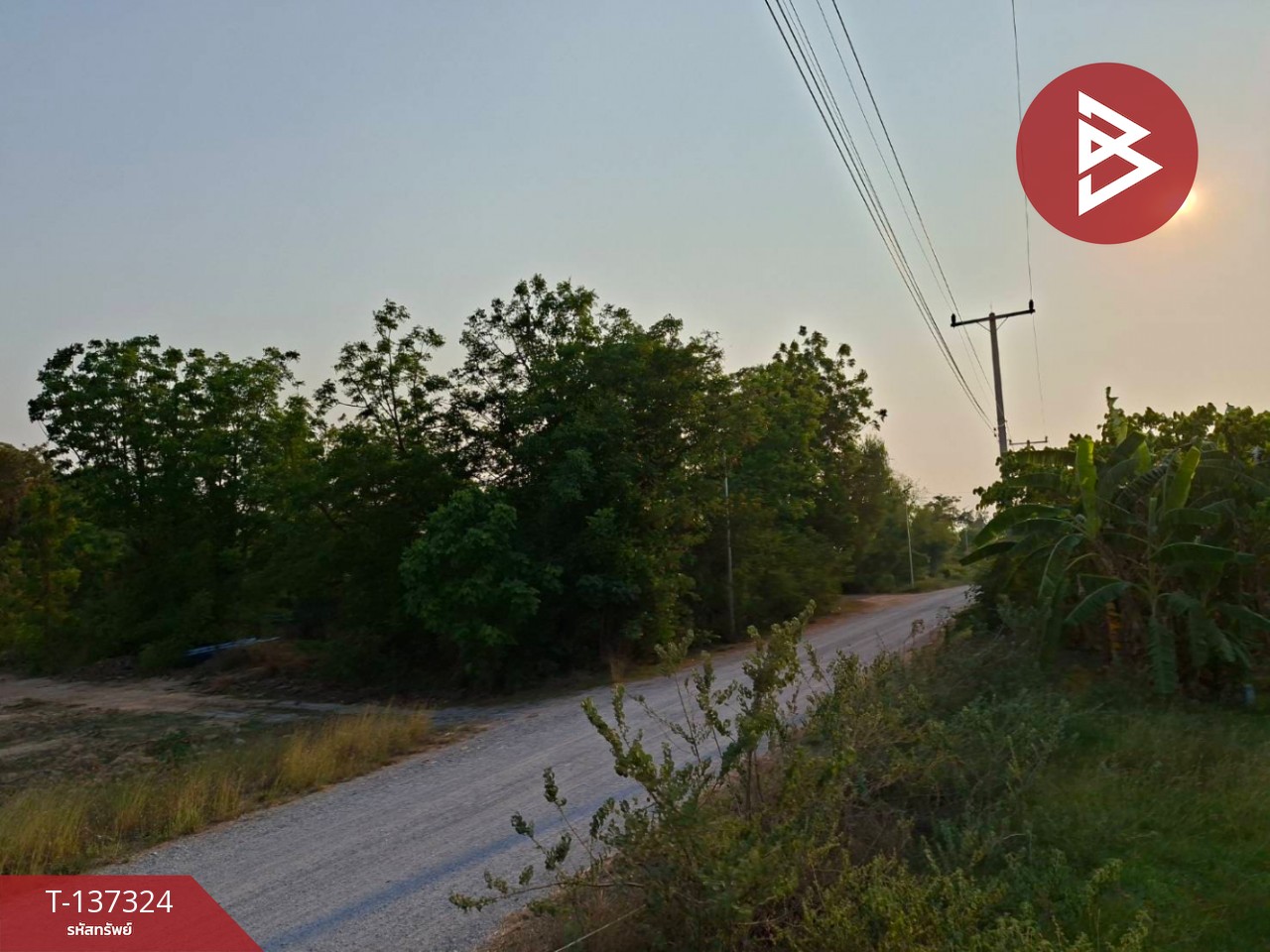 ขายที่ดิน เนื้อที่ 86 ตร.วา ดอนเจดีย์ สุพรรณบุรี 7