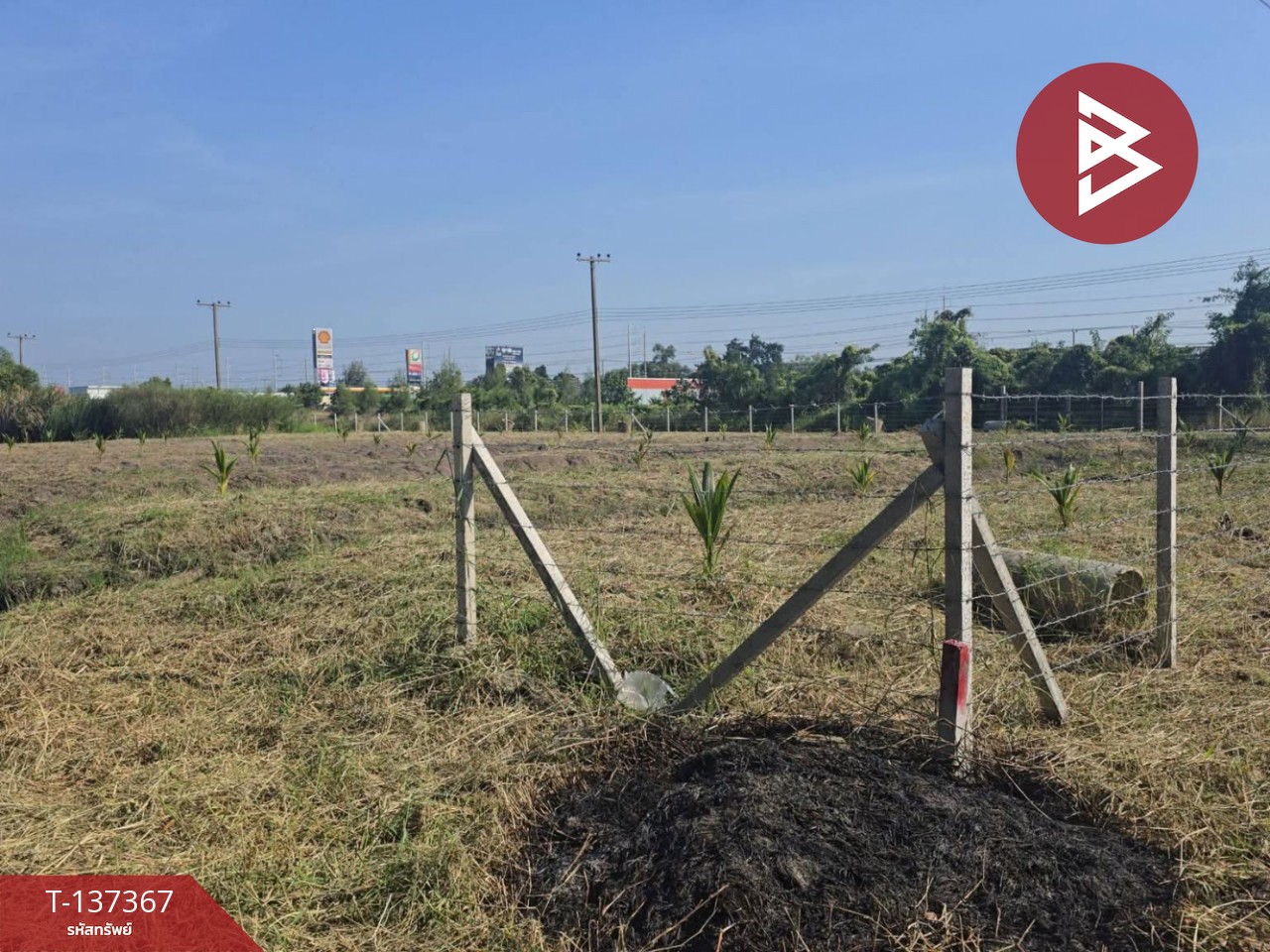 ขายที่ดินแปลงมุม เนื้อที่ 2 ไร่ คลองหลวง ปทุมธานี ทำเลดี 4