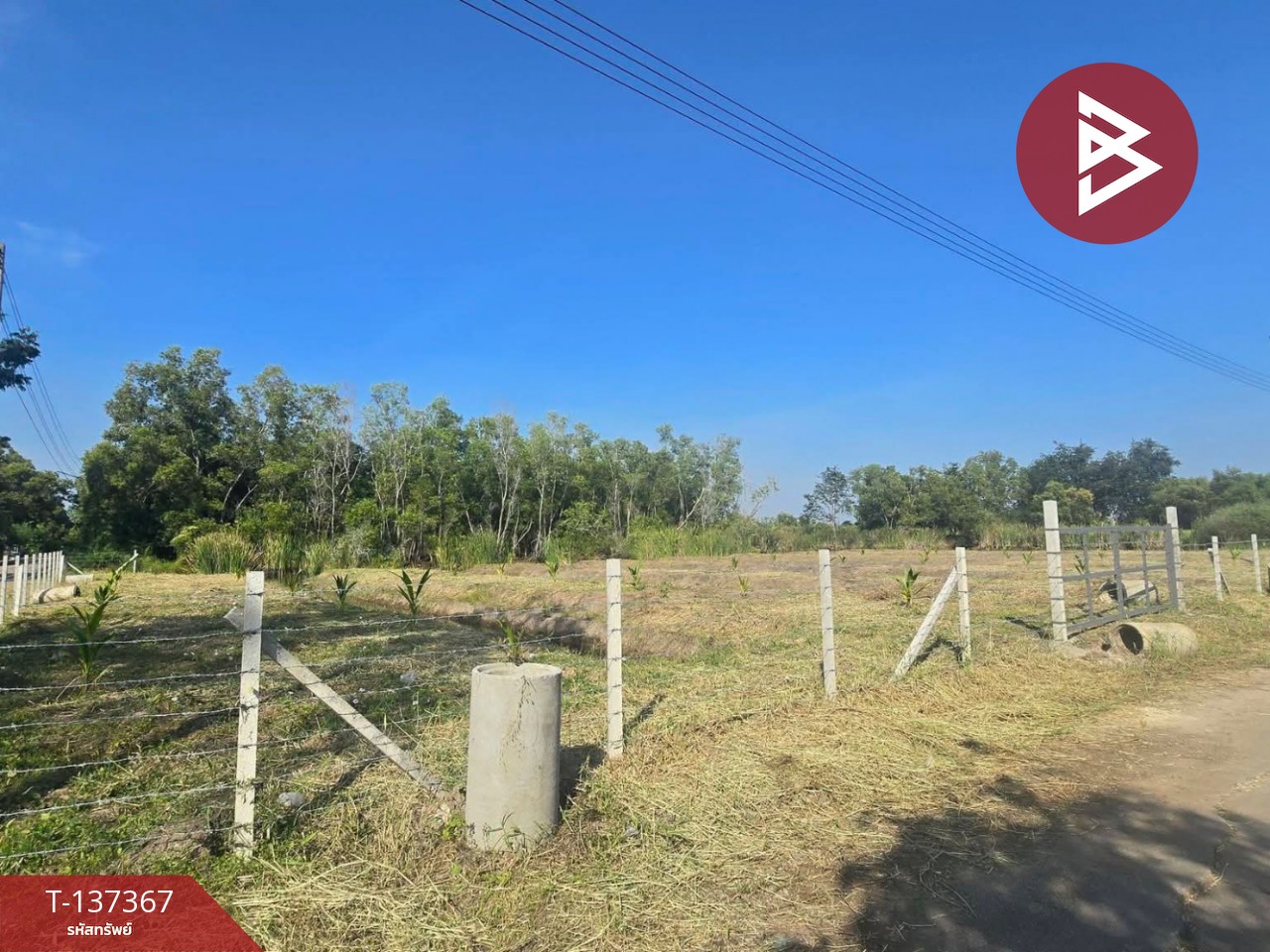 ขายที่ดินแปลงมุม เนื้อที่ 2 ไร่ คลองหลวง ปทุมธานี ทำเลดี 5