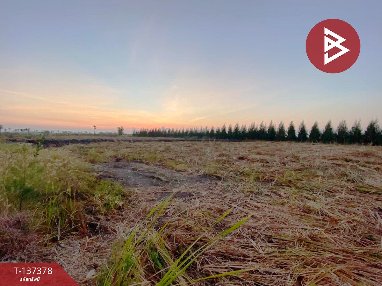 ขายที่ดินสวย เนื้อที่ 18 ไร่ 2 งาน 94 ตารางวา ต.บางจาน เพชรบุรี 1