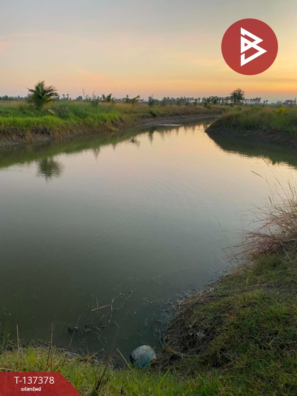 ขายที่ดินสวย เนื้อที่ 18 ไร่ 2 งาน 94 ตารางวา ต.บางจาน เพชรบุรี 3