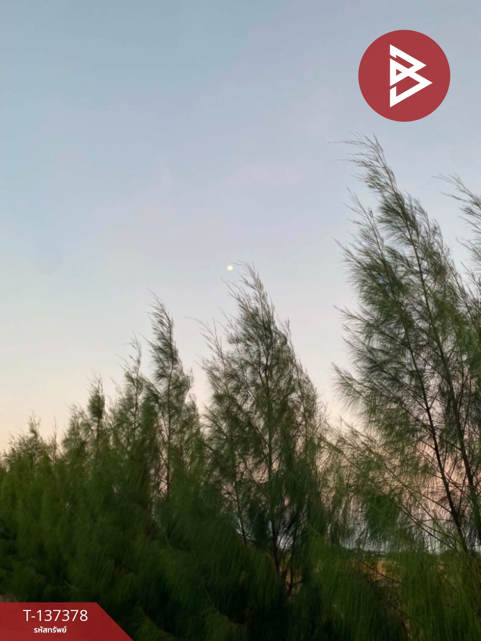 ขายที่ดินสวย เนื้อที่ 18 ไร่ 2 งาน 94 ตารางวา ต.บางจาน เพชรบุรี 4