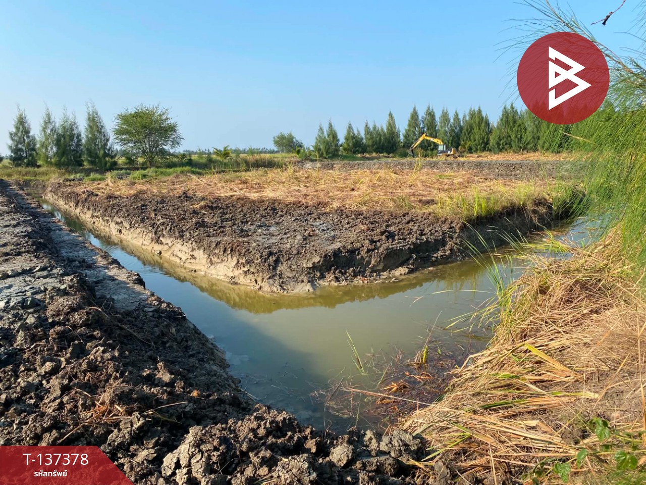 ขายที่ดินสวย เนื้อที่ 18 ไร่ 2 งาน 94 ตารางวา ต.บางจาน เพชรบุรี 5