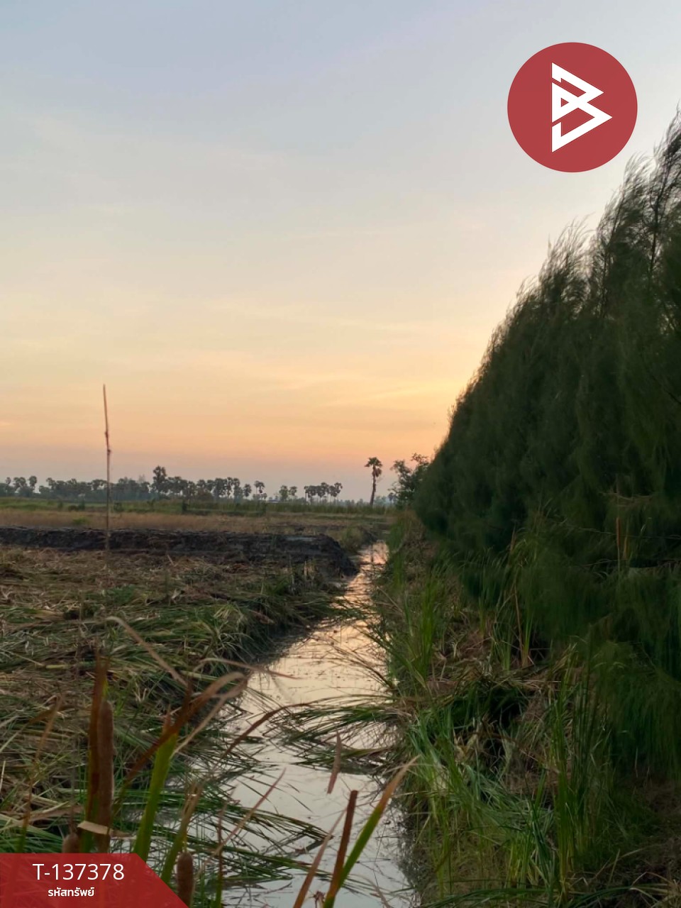 ขายที่ดินสวย เนื้อที่ 18 ไร่ 2 งาน 94 ตารางวา ต.บางจาน เพชรบุรี 2