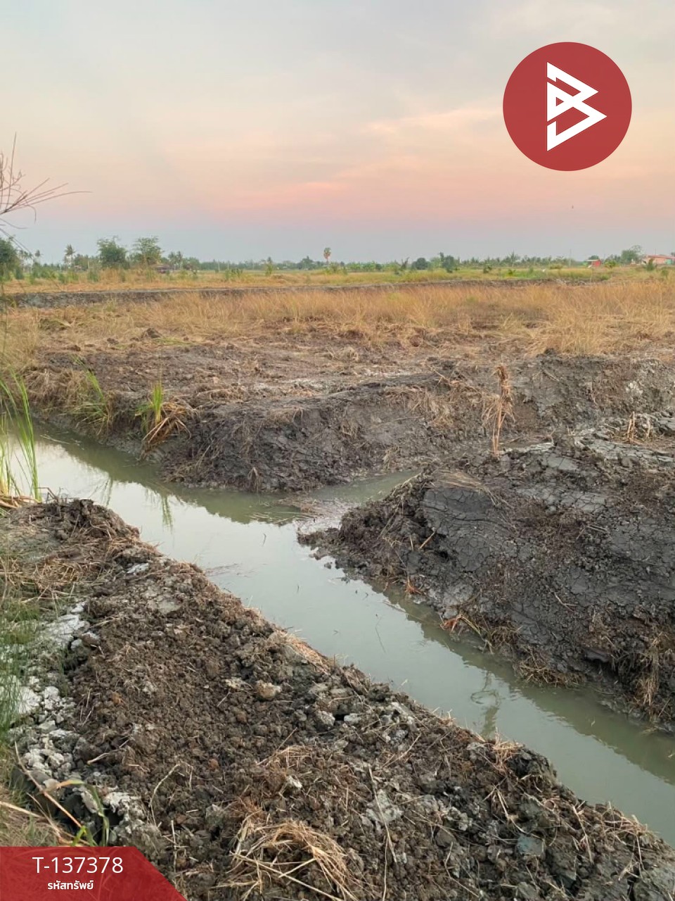 ขายที่ดินสวย เนื้อที่ 18 ไร่ 2 งาน 94 ตารางวา ต.บางจาน เพชรบุรี 6