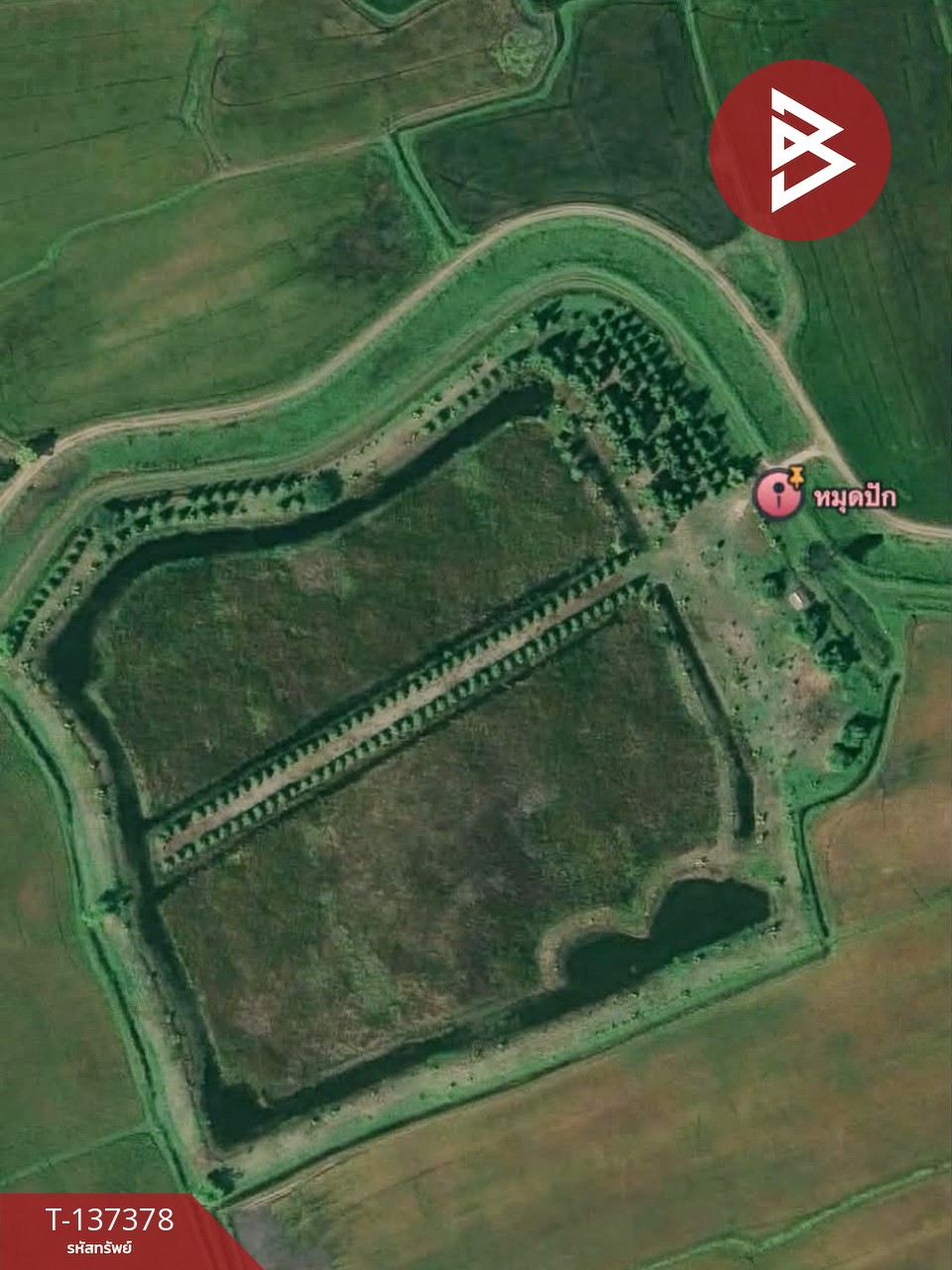 ขายที่ดินสวย เนื้อที่ 18 ไร่ 2 งาน 94 ตารางวา ต.บางจาน เพชรบุรี 7