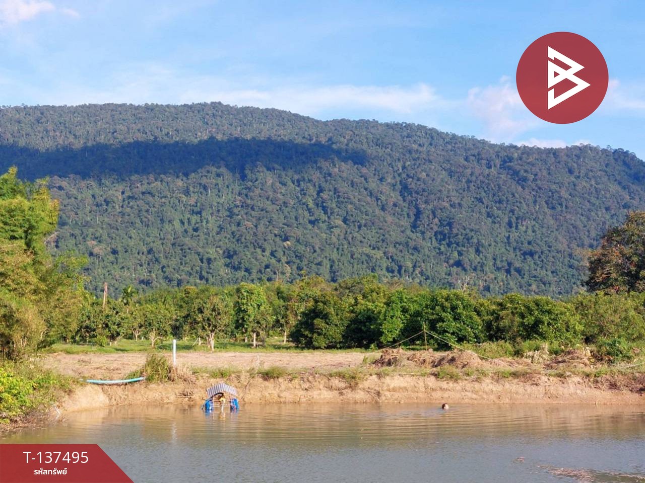 ขายที่ดิน เนื้อที่ 7 ไร่ 1 งาน 76 ตร.วา เขาคิชฌกูฏ จันทบุรี 1