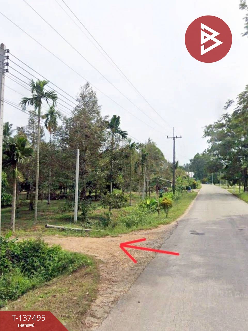 ขายที่ดิน เนื้อที่ 7 ไร่ 1 งาน 76 ตร.วา เขาคิชฌกูฏ จันทบุรี 3