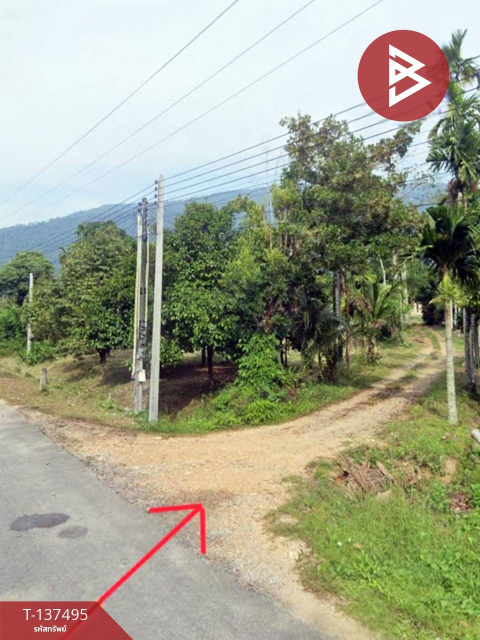 ขายที่ดิน เนื้อที่ 7 ไร่ 1 งาน 76 ตร.วา เขาคิชฌกูฏ จันทบุรี 4